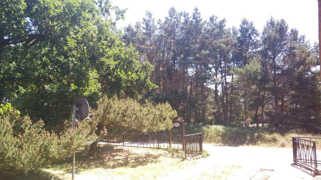 Urlaub Bei Hauenstein Apartamento Born Exterior foto