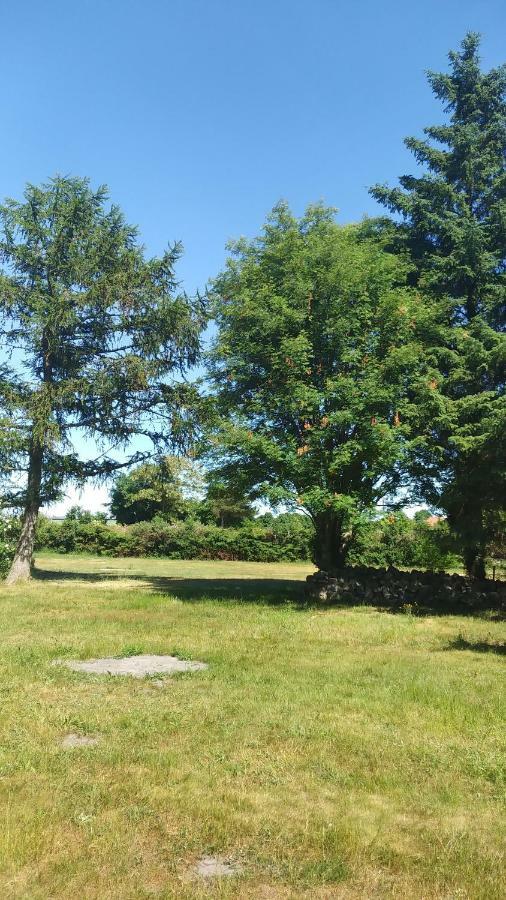 Urlaub Bei Hauenstein Apartamento Born Exterior foto