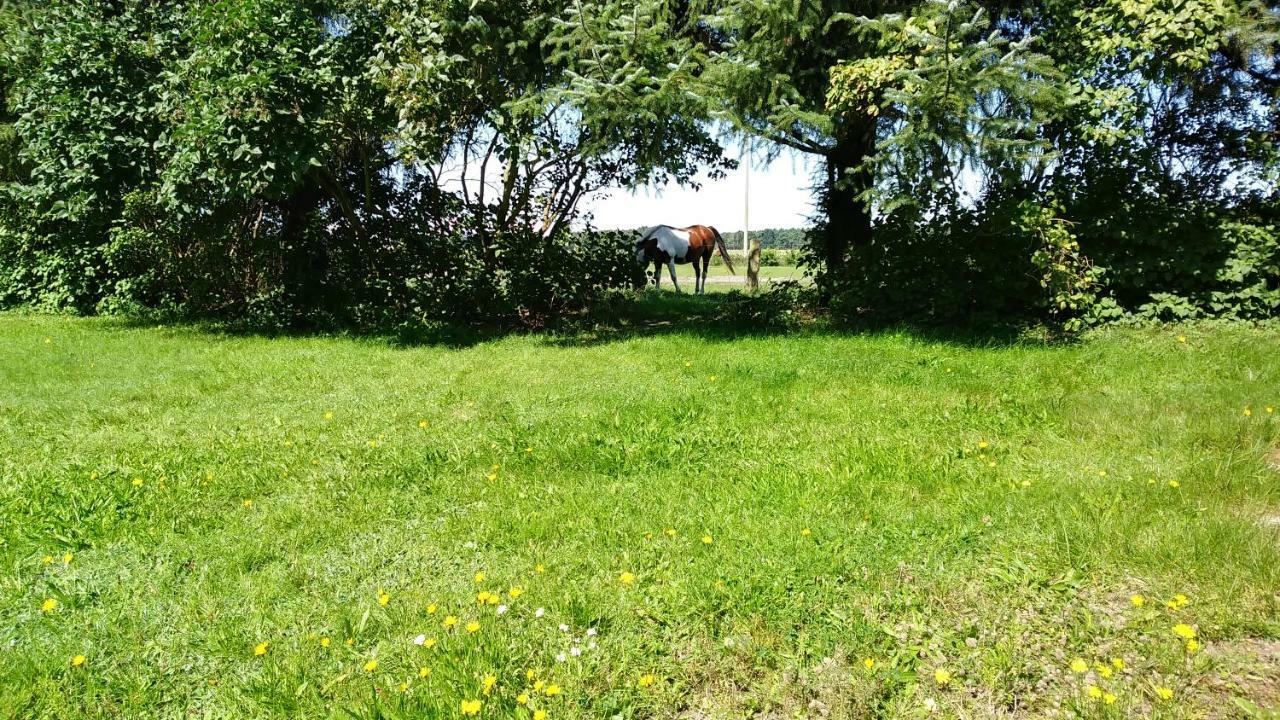 Urlaub Bei Hauenstein Apartamento Born Exterior foto